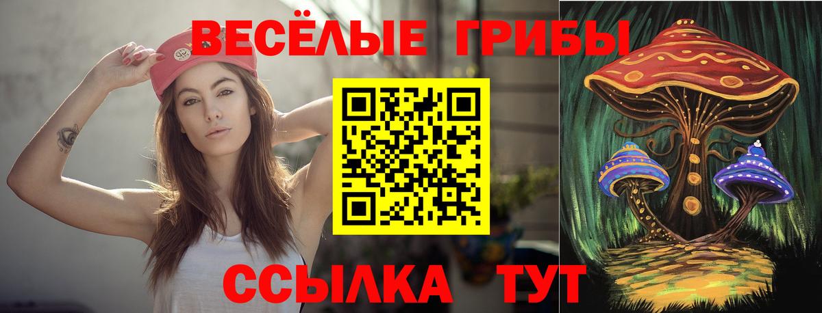 Псилоцибиновые грибы GOLDEN TEACHER Нижневартовск